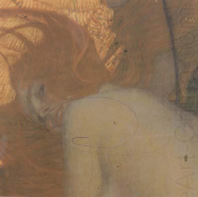 Gustav Klimt Gold Fish (detail) (mk20) china oil painting image